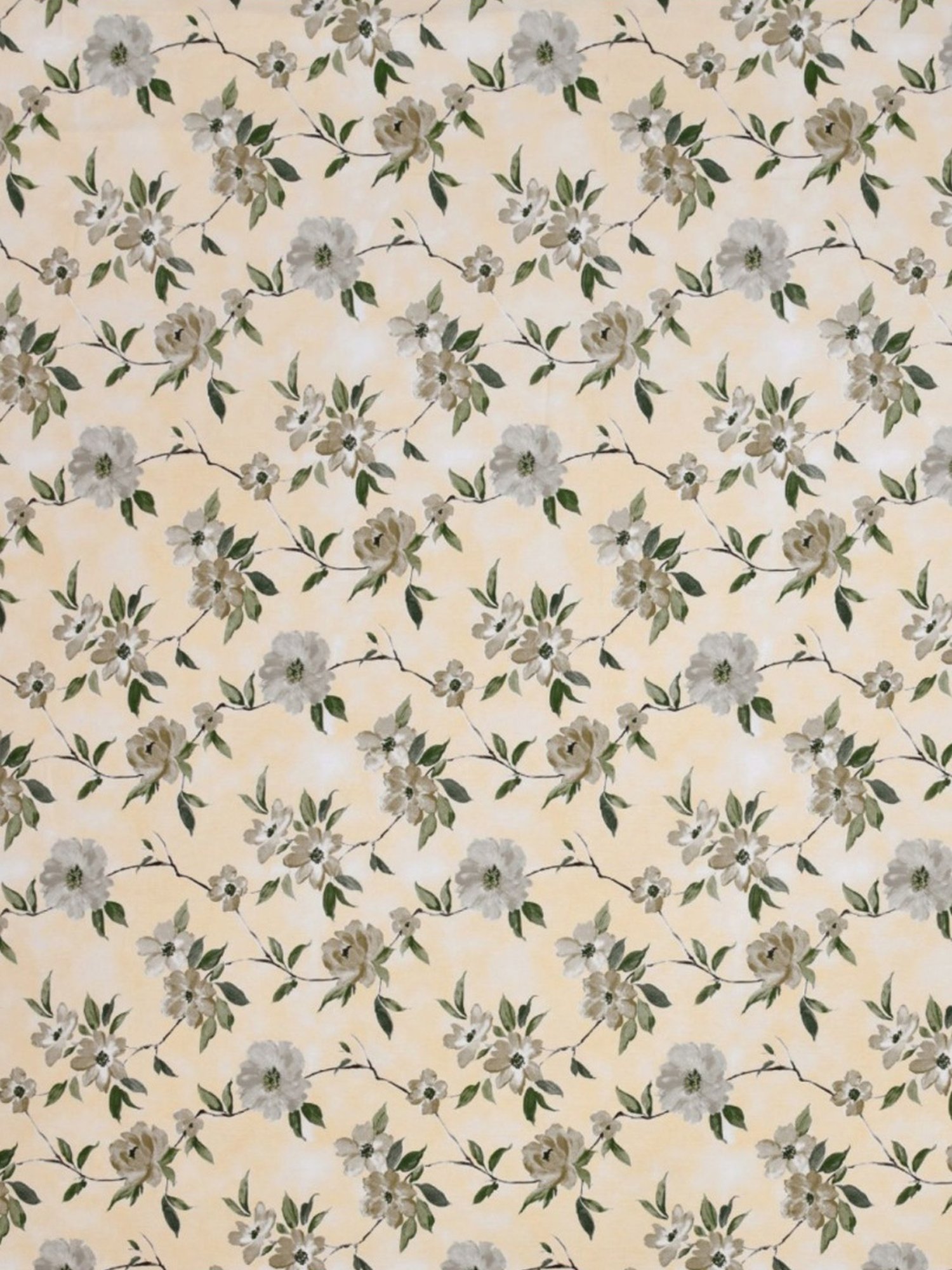 Haus & Kinder Greek Garden Romance Yellow & Greem 186 TC Cotton King Bed Sheet with 2 Pillow Covers