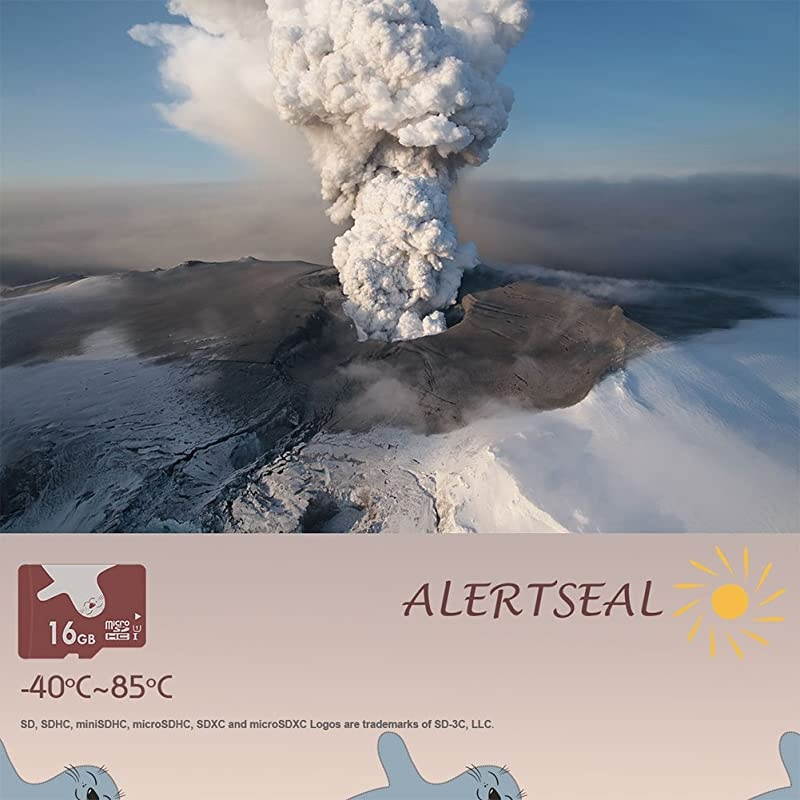 16GB UHSI U1 Class 10 C10 microSDHCTF Flash Memory Cards 2 pcs wSD adapters