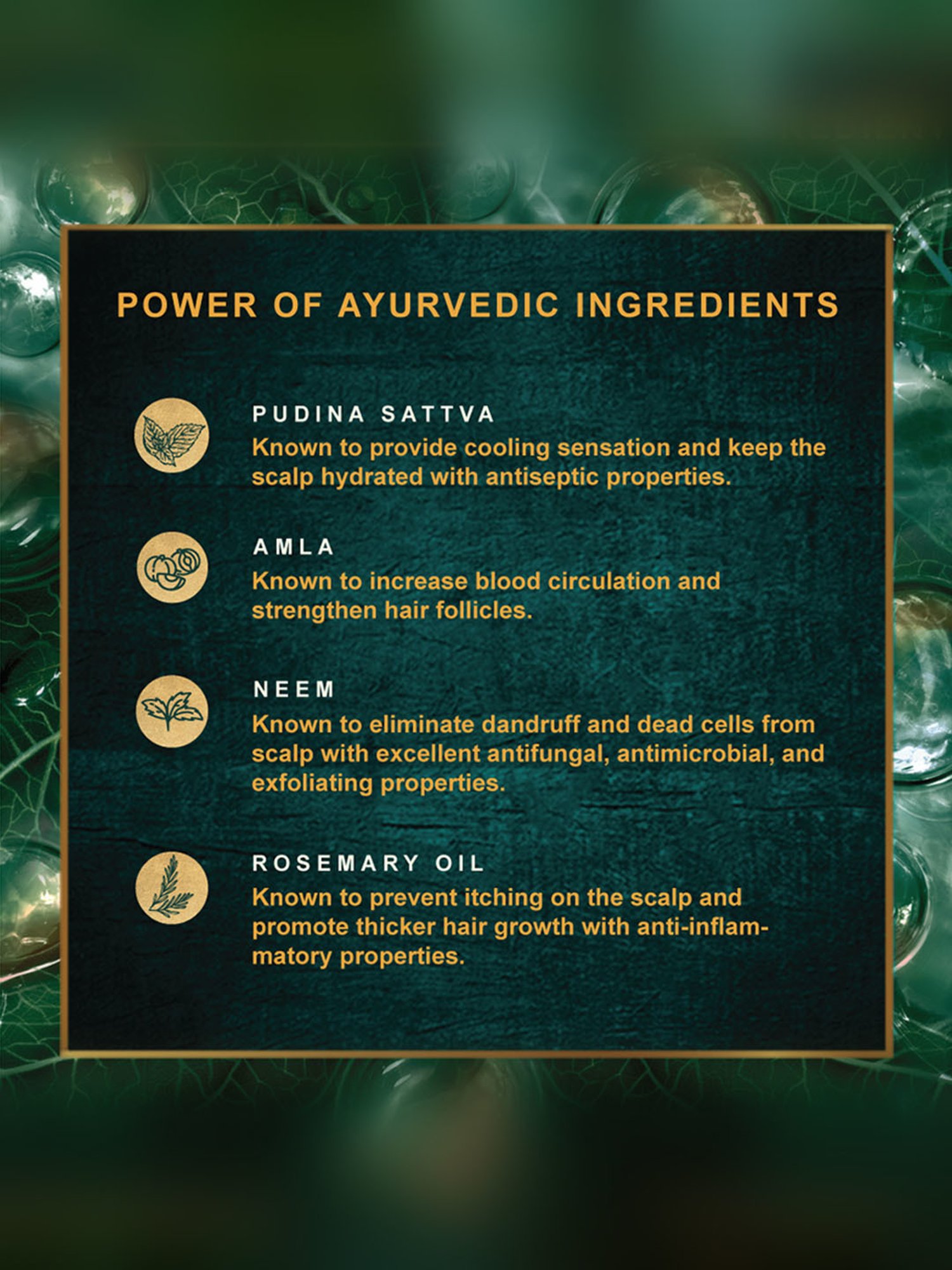 Indulekha Dandruff Treatment Shampoo - 580 ml