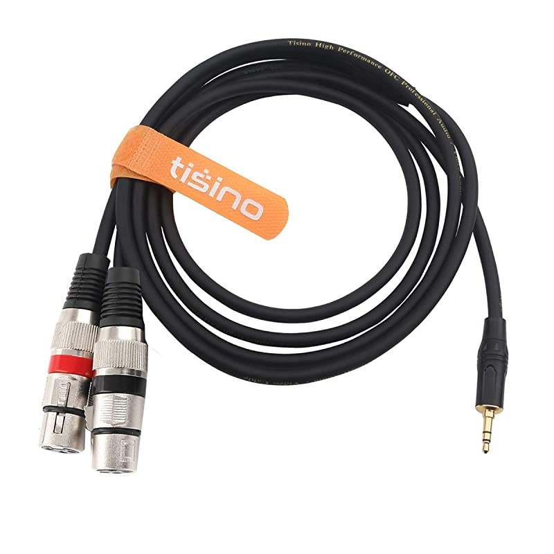 Dual XLR Female to 3.5mm Stereo Microphone Cable, Unbalanced Double XLR to 1/8 Inch Aux Mini Jack Y-Splitter Breakout Lead Mic Cord - 10 FT