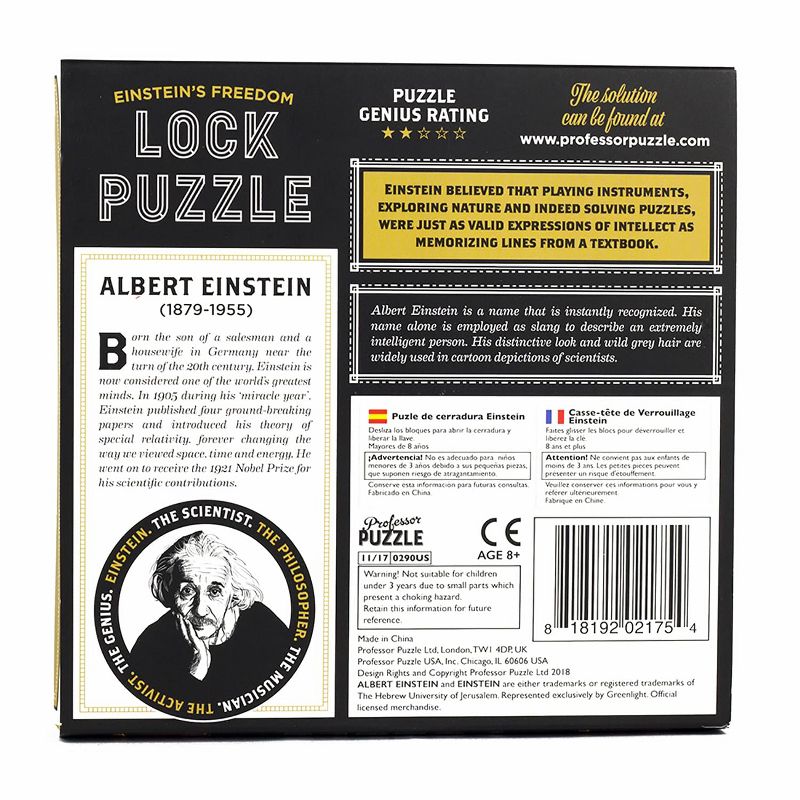 Professor Puzzle USA, Inc. Einsteins Lock 3D Brain Teaser Puzzle