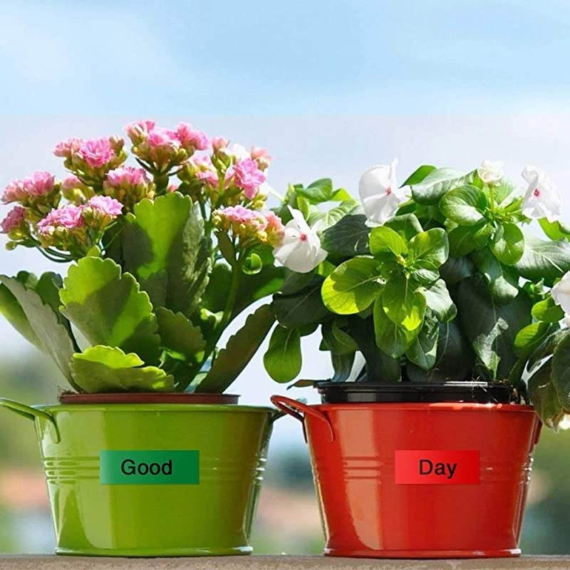 Compatible Tape Replacement for Brother P Touch Maker Tape TZe 12mm 047 Inch Laminated TZe231 TZe131 TZe431 TZe531 TZe631 TZe731 for Ptouch PT D210 H110 D400 6Pack