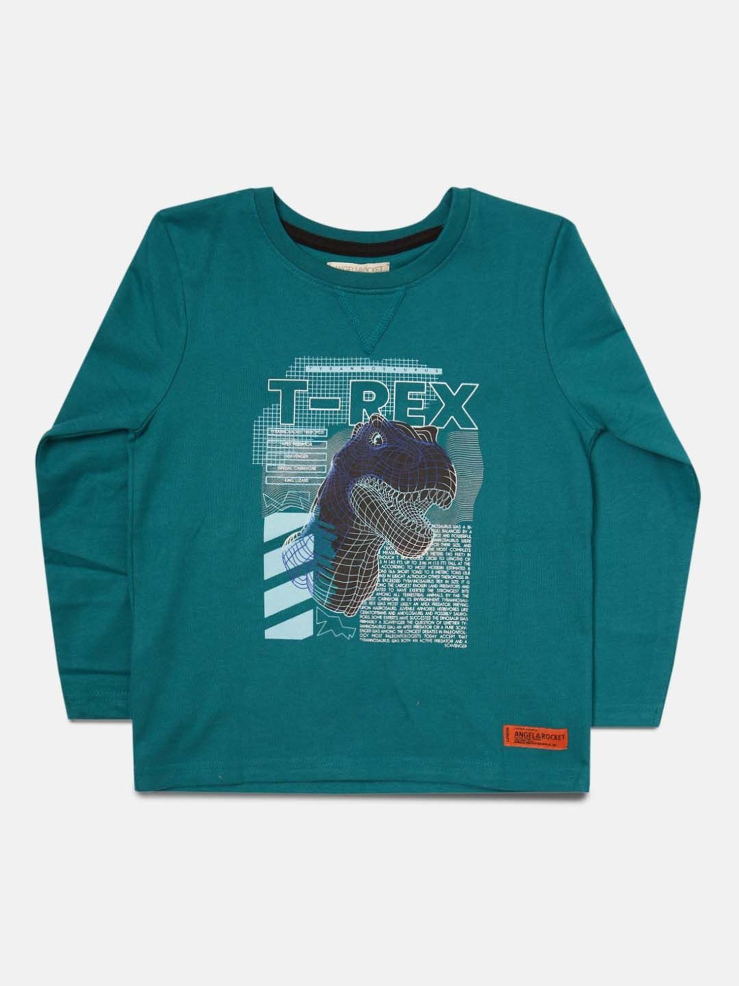 Angel & Rocket Kids Teal Printed Full Sleeves T-Shirt