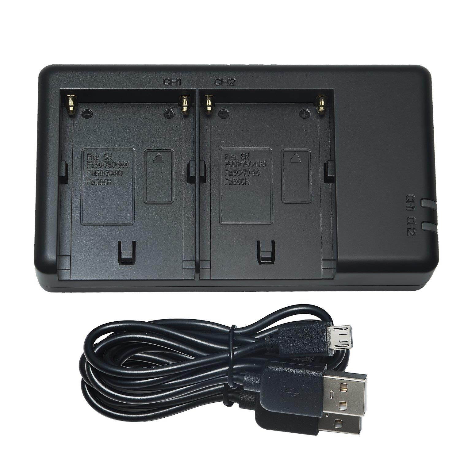 DSTE Replacement for 2X NP-F750 Battery + Rapid Dual Battery Charger with Micro USB Cable Compatible Sony CCD-TRV215 CCD-TR917 CCD-TR315 HDR-FX1000 HDR-FX7 HVR-V1U HVR-Z7U HVR-Z5U as NP-F730 NP-F770