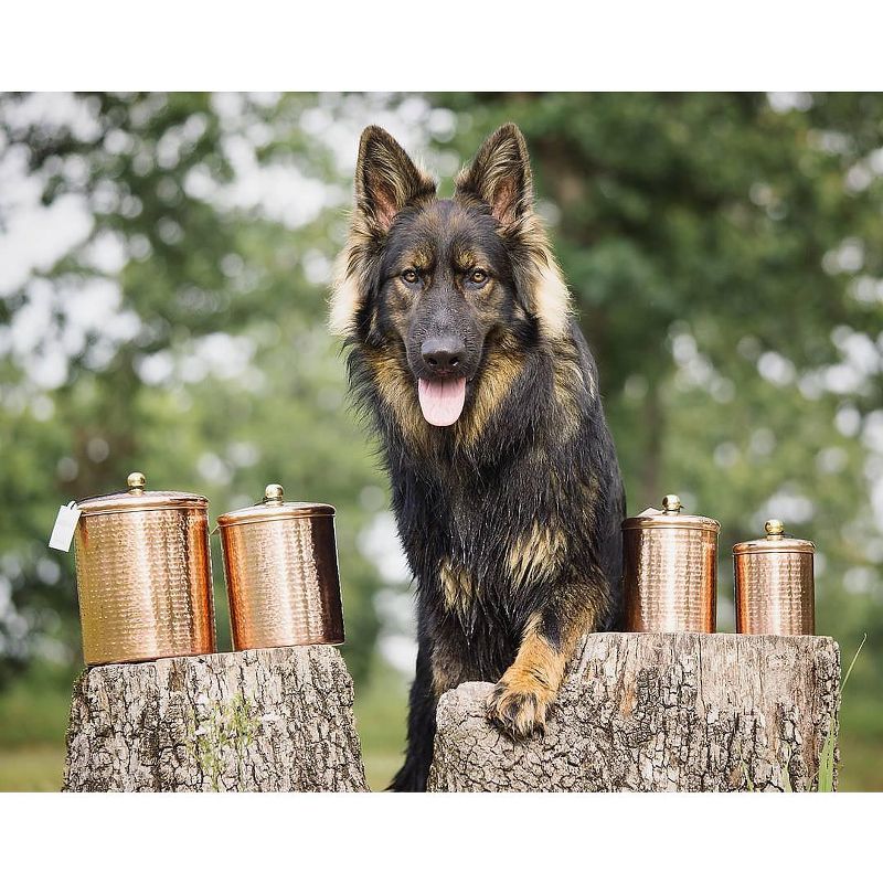 Amici Home Alexandria Hammered Copper Finish 104 oz Metal Storage Canister, Single Container