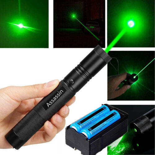 990Miles 532nm 301 Green Laser Pointer Lazer Pen+2 x 18650 Battery+Dual Charger