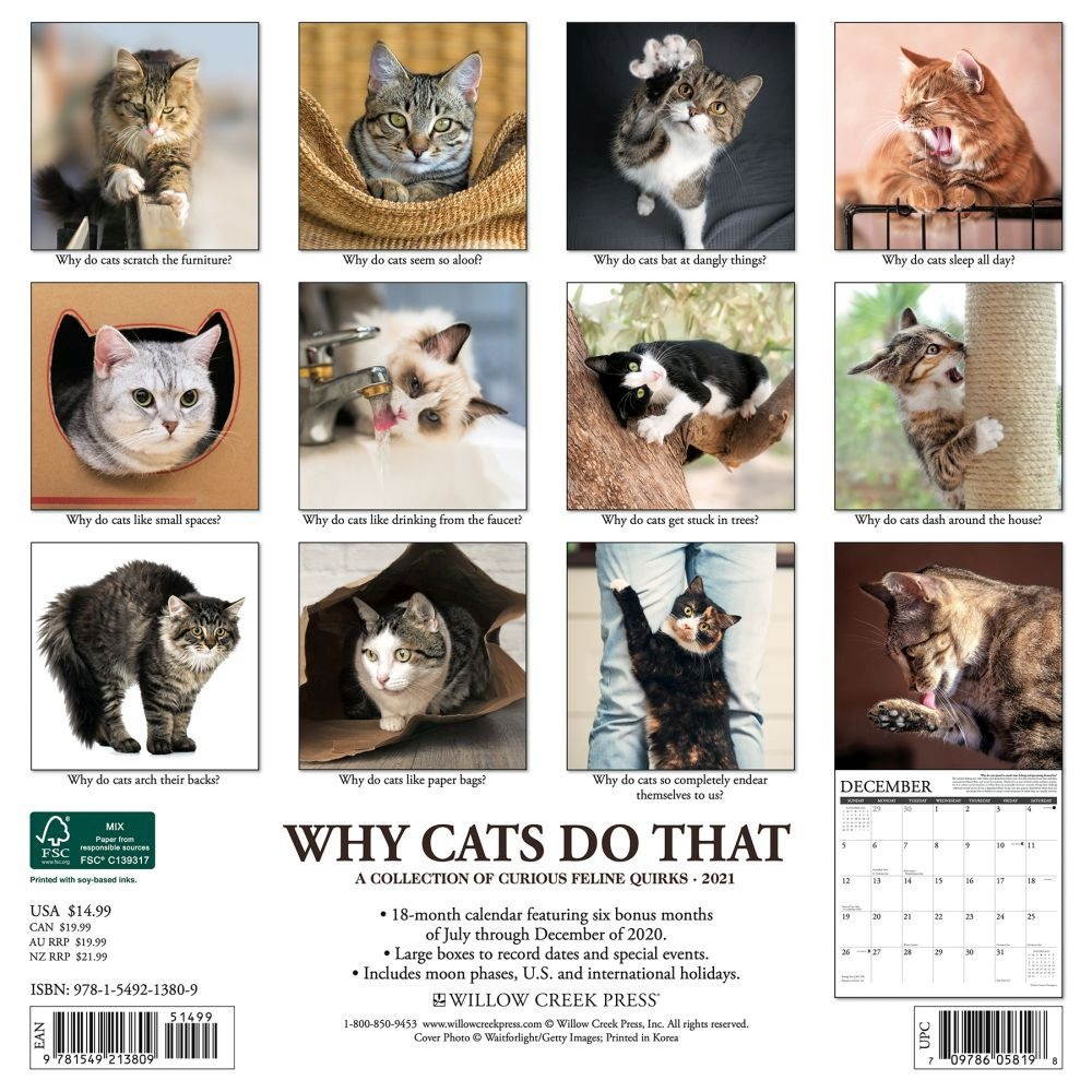 Willow Creek Press,  Why Cats Do That 2021 Wall Calendar 2021