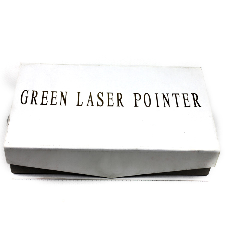 Laser 301 High Power 200mW 532nm Laser Pointer Flashlight Green Laser Light Pen