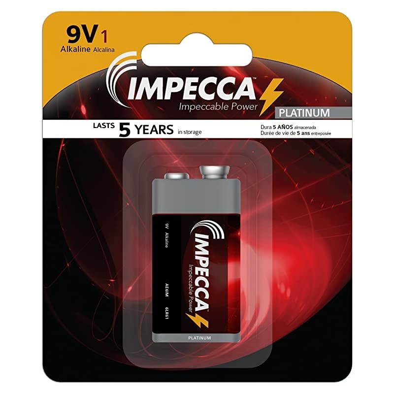 9 Volt Batteries Premium Alkaline 24Pack High Performance Ultra Long Lasting and LeakResistant AllPurpose 9V 24 Count 6LR61 Platinum Series