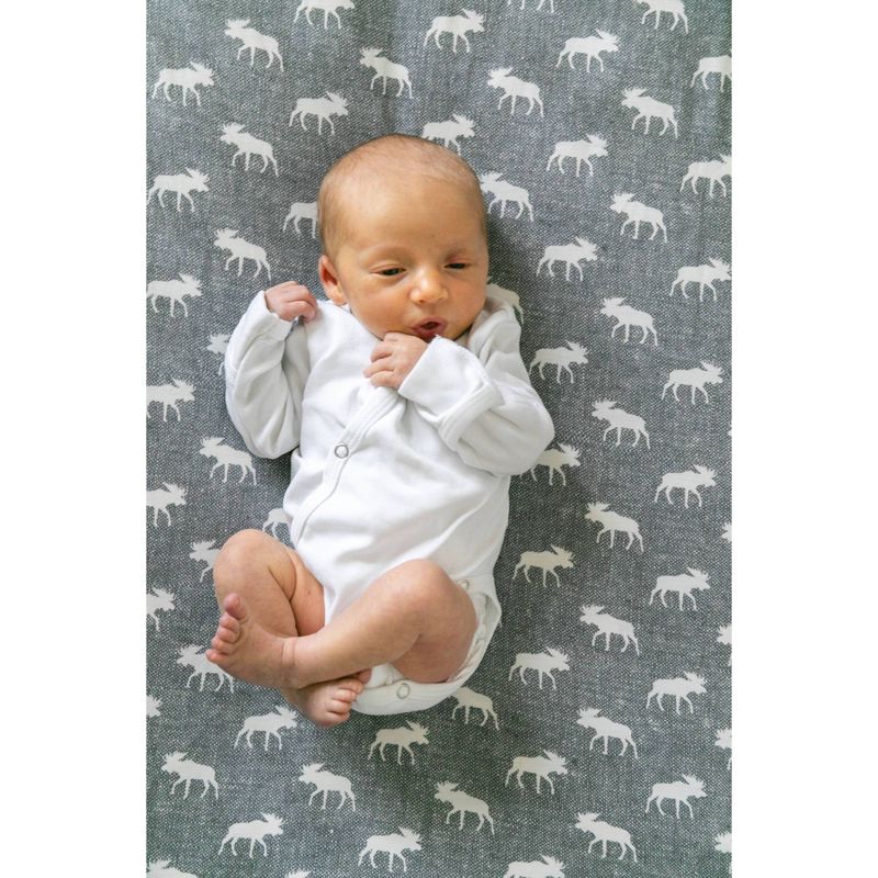 Copper Pearl Premium Crib Sheet - Scout