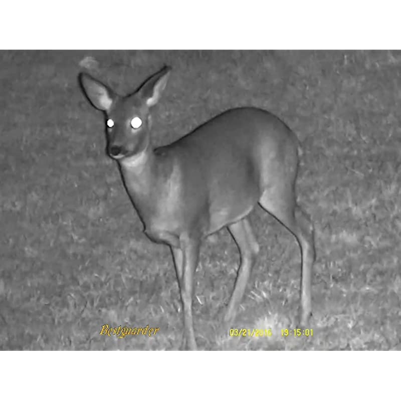 Vision Monocular, HD Digital Infrared Camera Scope 6x50mm with 1.5 inch TFT LCD High Power Hunting Gear Takes 5mp Photo 720 Video up to 350m/1150ft Detection Distance