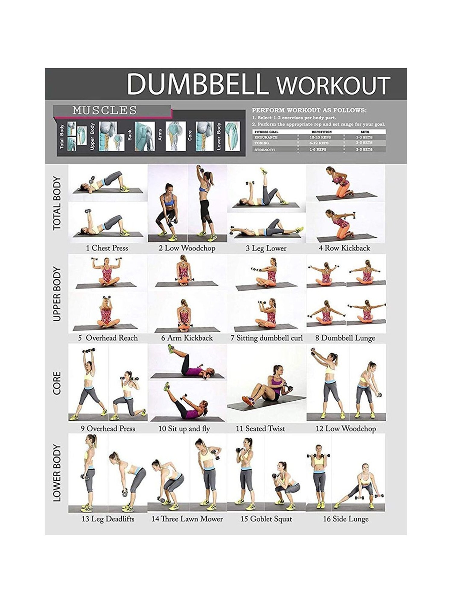 Protoner Bell Shaped Fixed Dumbbells (Blue) Size - 4 kg