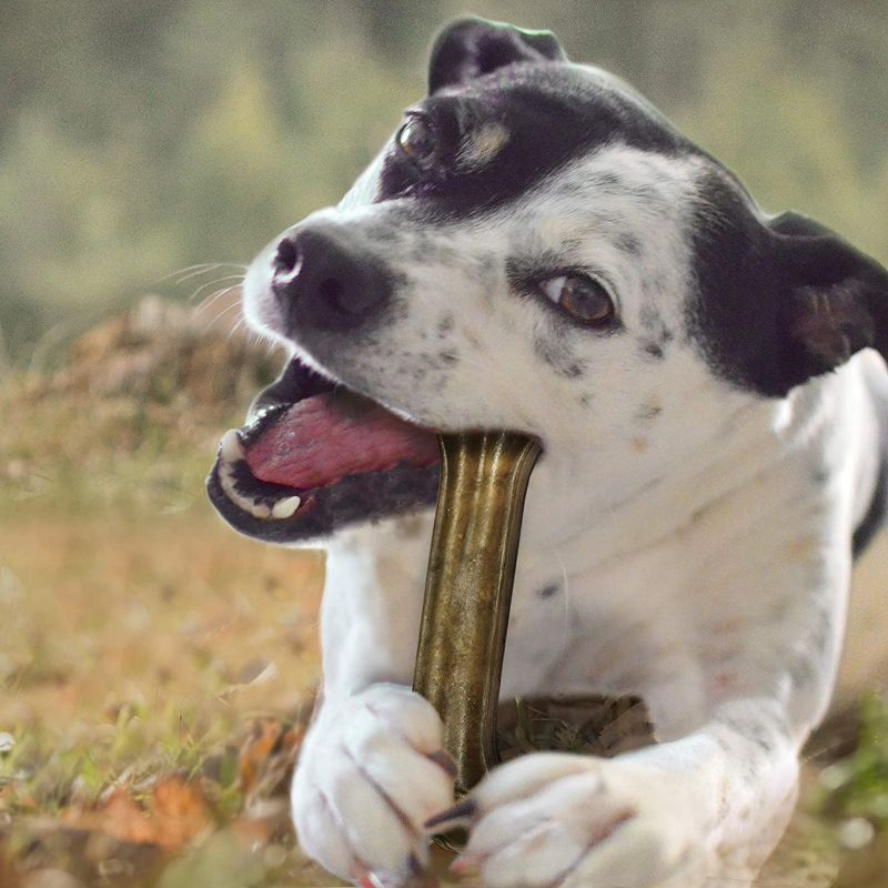 Cadet 10 Inch Pressed Rawhide Bone