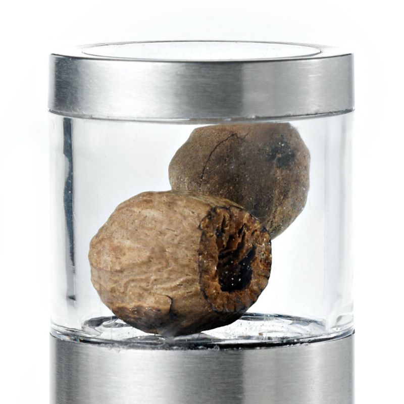 Adhoc Nutmeg Mill and Grinder Stainless Steel Muskatino