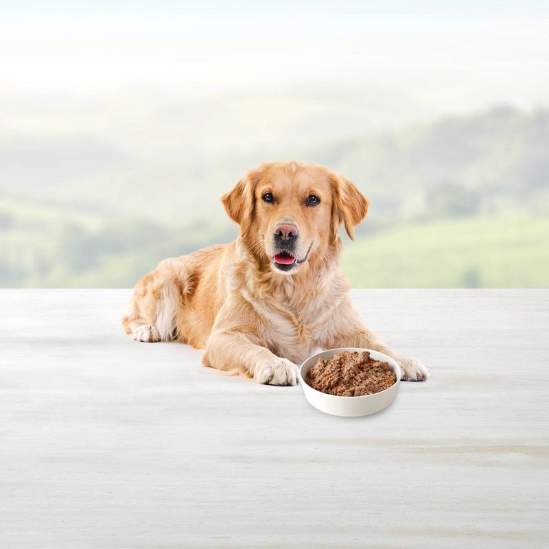 Blue Buffalo Homestyle Recipe Fish & Sweet Potato Dinner with Garden Vegetables Wet Dog Food - 12.5oz/12ct Pack