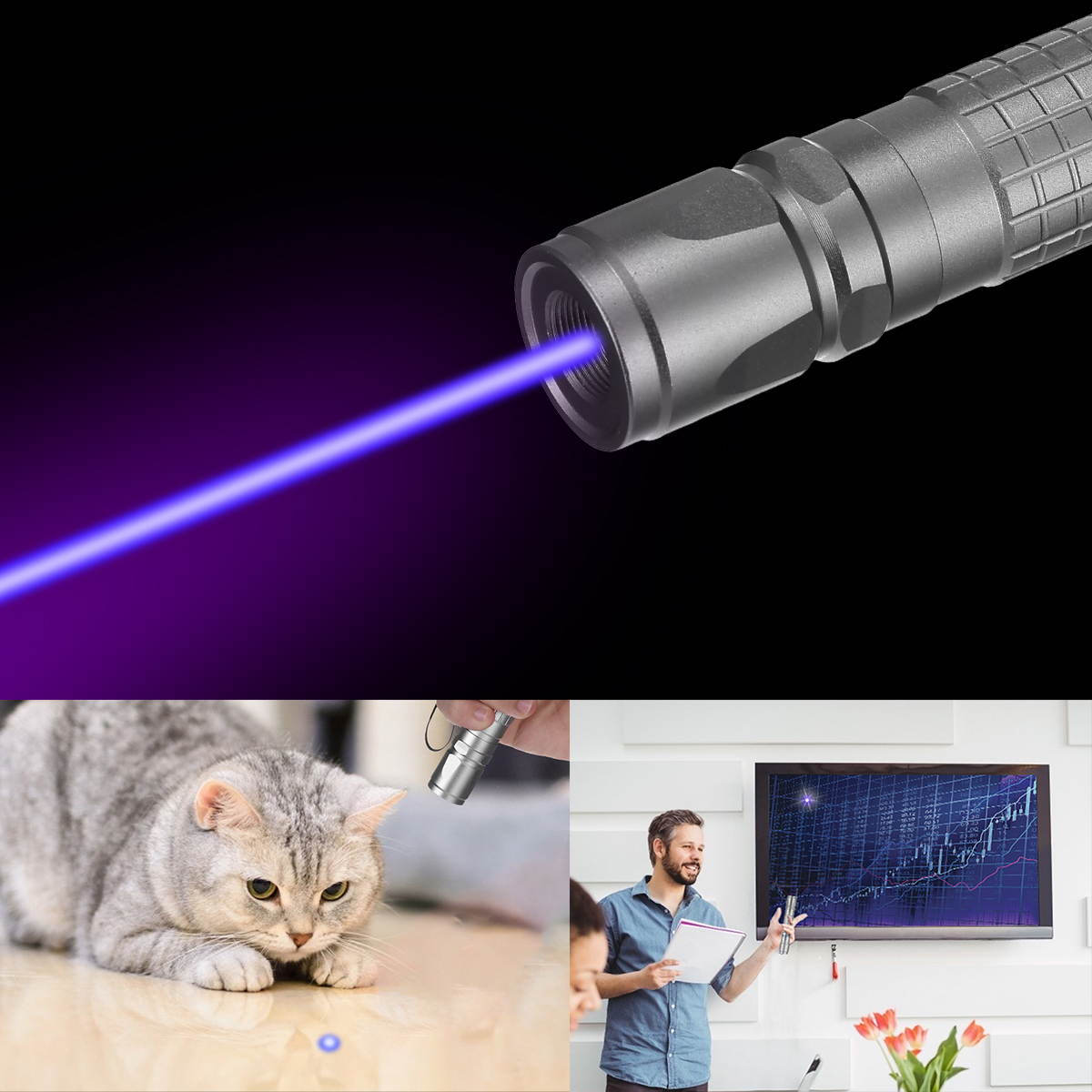 Purple Laser Pointer with Battery Charger Flashlight Visible Beam Light Outdoor Lighting Lasers Pen, Silver