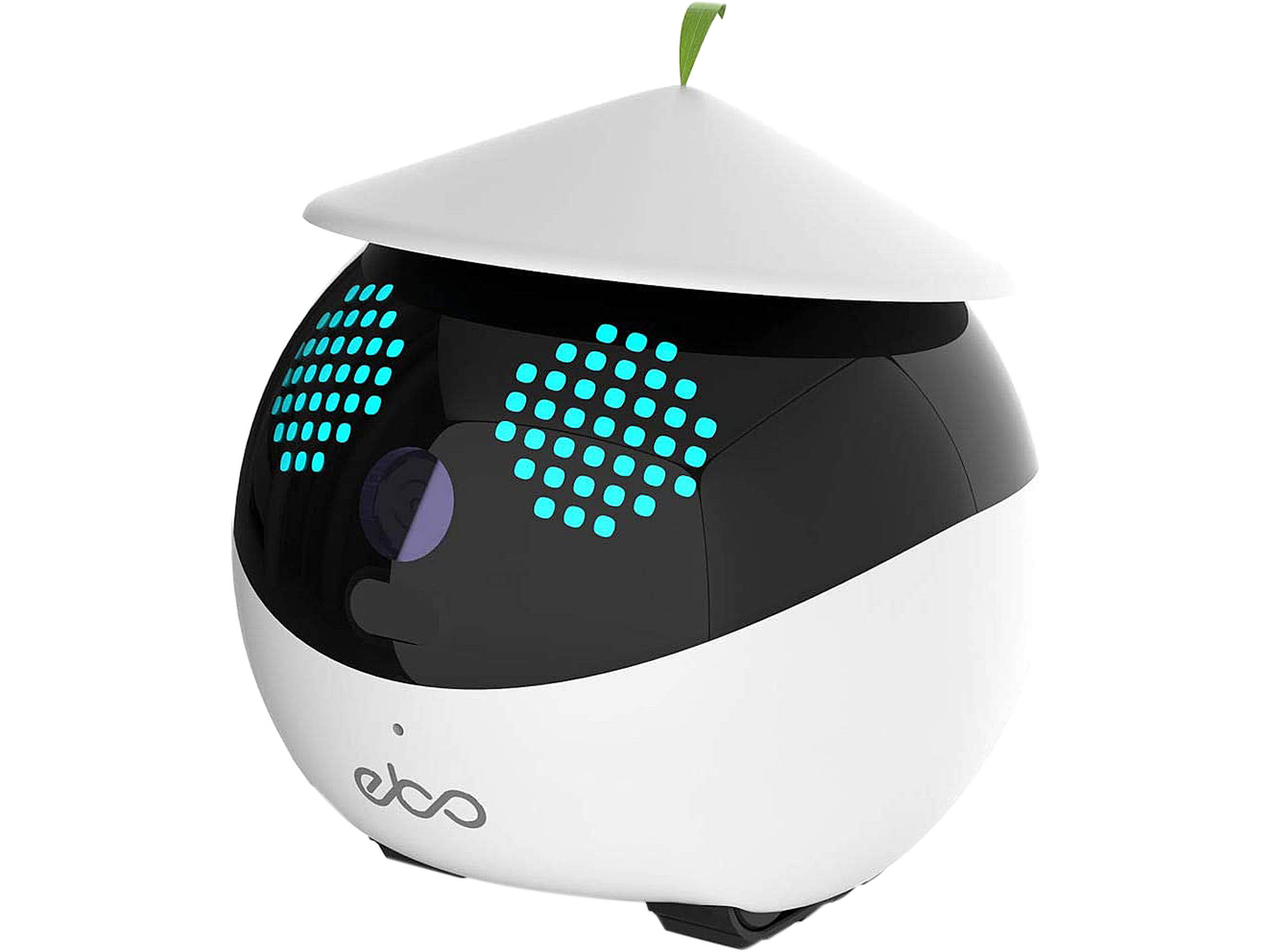 Enabot Ebo Familybot: Your Moving Camera at Home