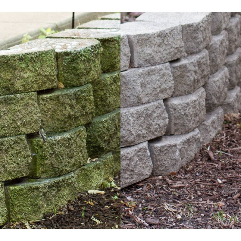 BISSELL 22 floz Oxy Stain Destroyer Pet For Carpet and Upholstery