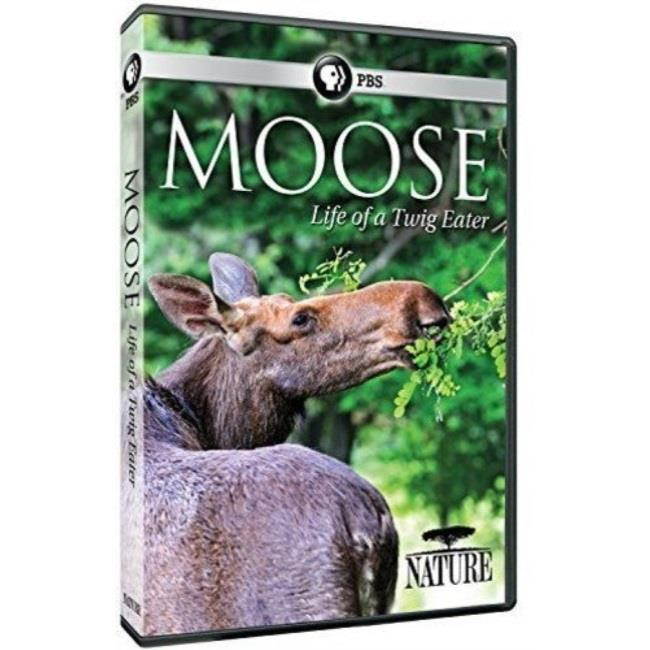 PBS NATURE-MOOSE-LIFE OF A TWIG EATER (DVD) DNAT63310D