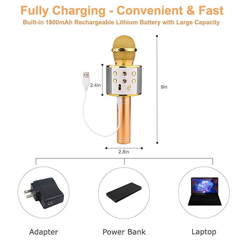 Wireless Bluetooth Karaoke Microphone with Speaker & Record Function, Best Gift Singing Toy for Kid (Gold)