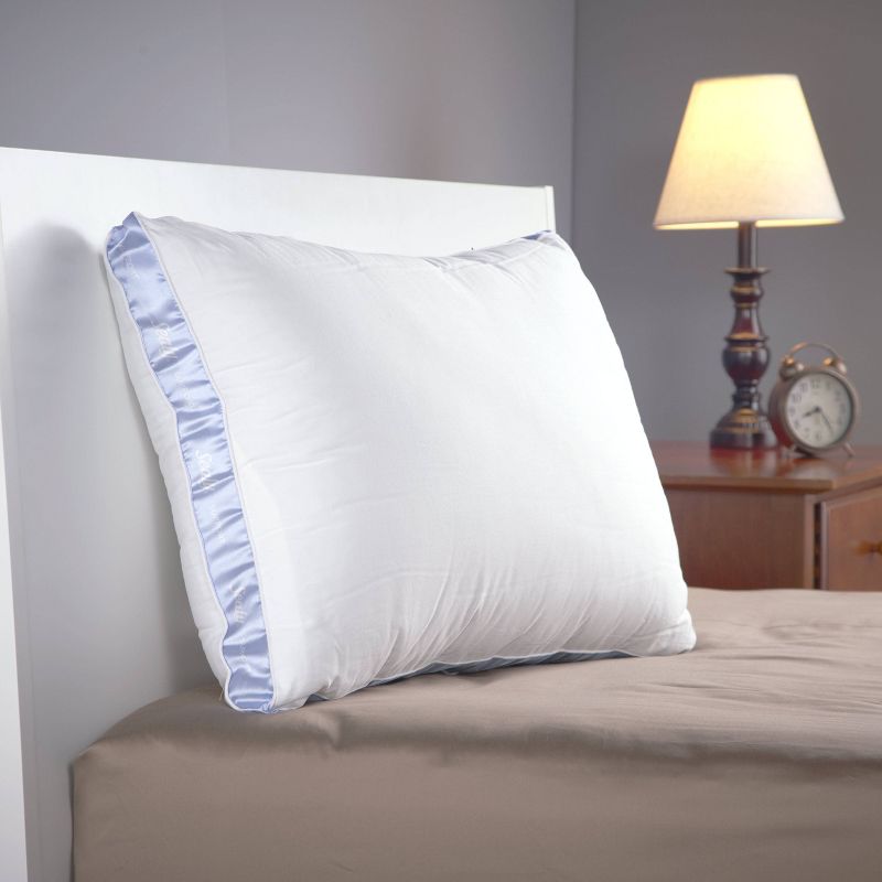 Standard/Queen 2pk Firm Bed Pillow - Sealy