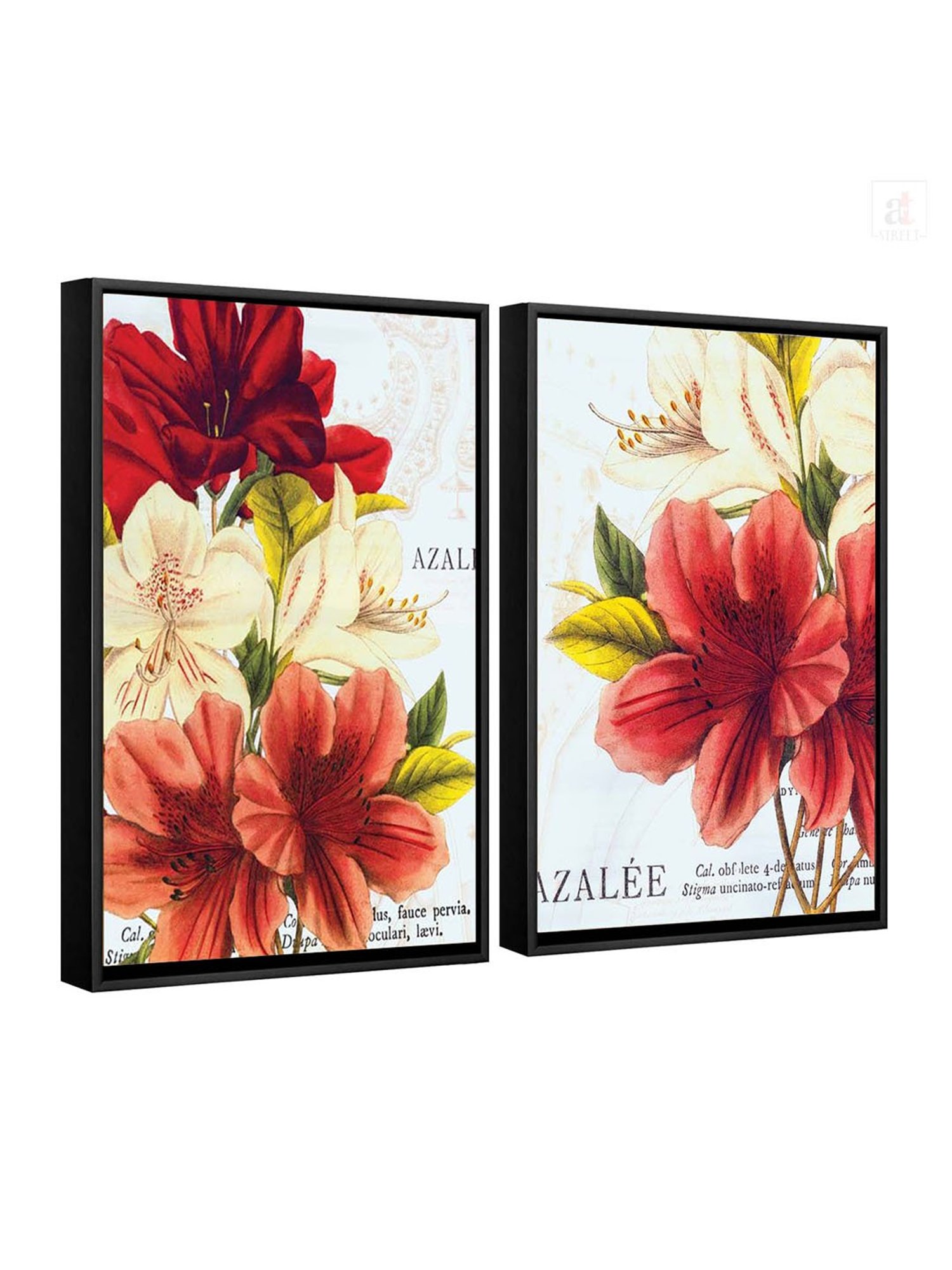 Art Street Azalea Jardin Wild Apple Portfolio Printed Red Engineered Wood Wall Art (Set of 2)