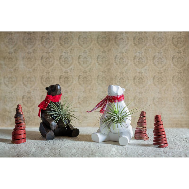 LiveTrends Holiday Bear - 2pk