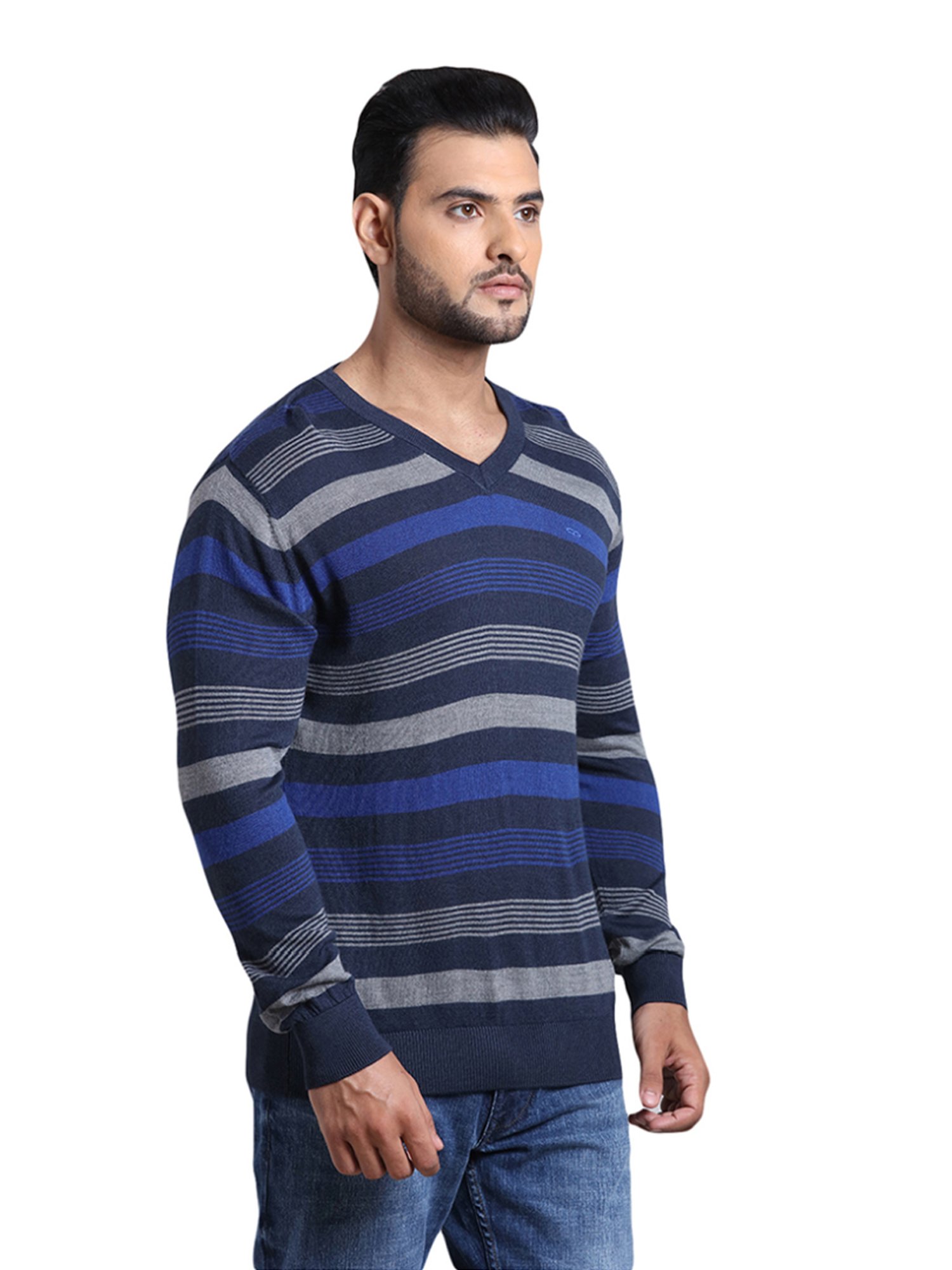 ColorPlus Blue Tailored Fit Striped Sweater