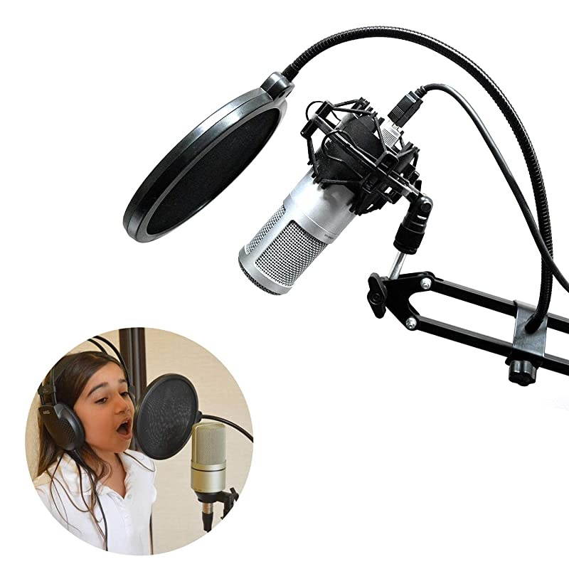 Filter Studio Double Round Shape Microphone Screen Filter Double Layer Sound Shield Guard Windscreen