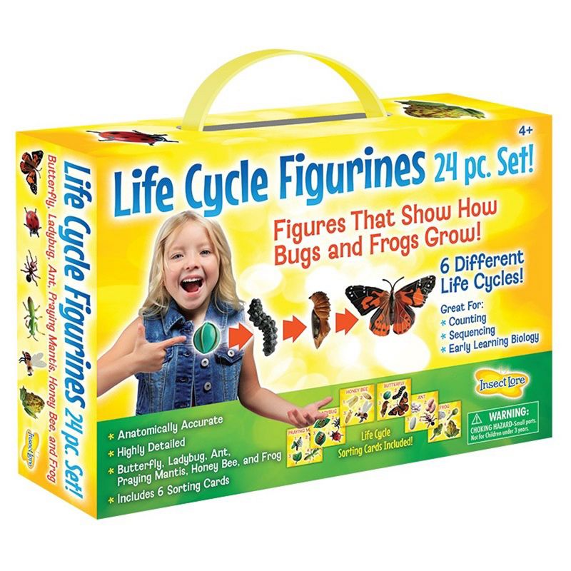 Insect Lore Products Life Cycle Figurines - 24 Pieces