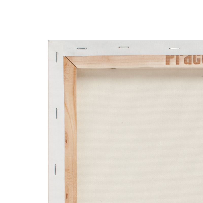Practica Stretched Canvas Box of 20 18x24"