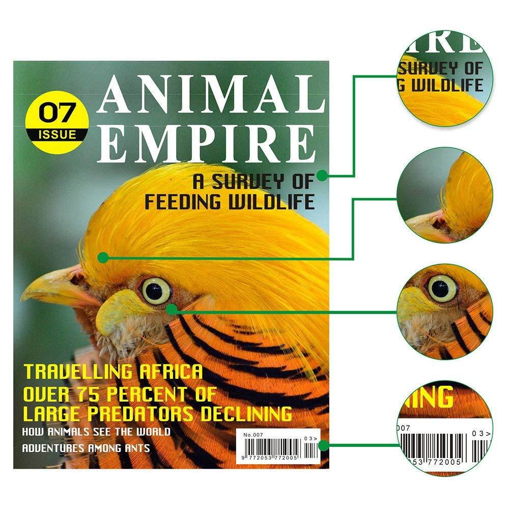 Aztech Compatible Toner Cartridge Replacement for HP Laserjet 131A HP CF210A 131X CF210X MFP M276NW M251NW Ink HP Laserjet Pro 200 Color M251NW MFP M276NW Canon Image CLASS MF8280Cw Printer(KCYM, 4PK)