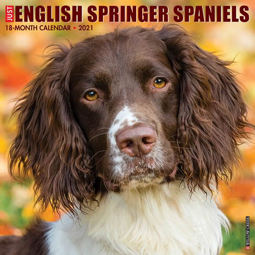 2021 English Springer Spaniels Wall
