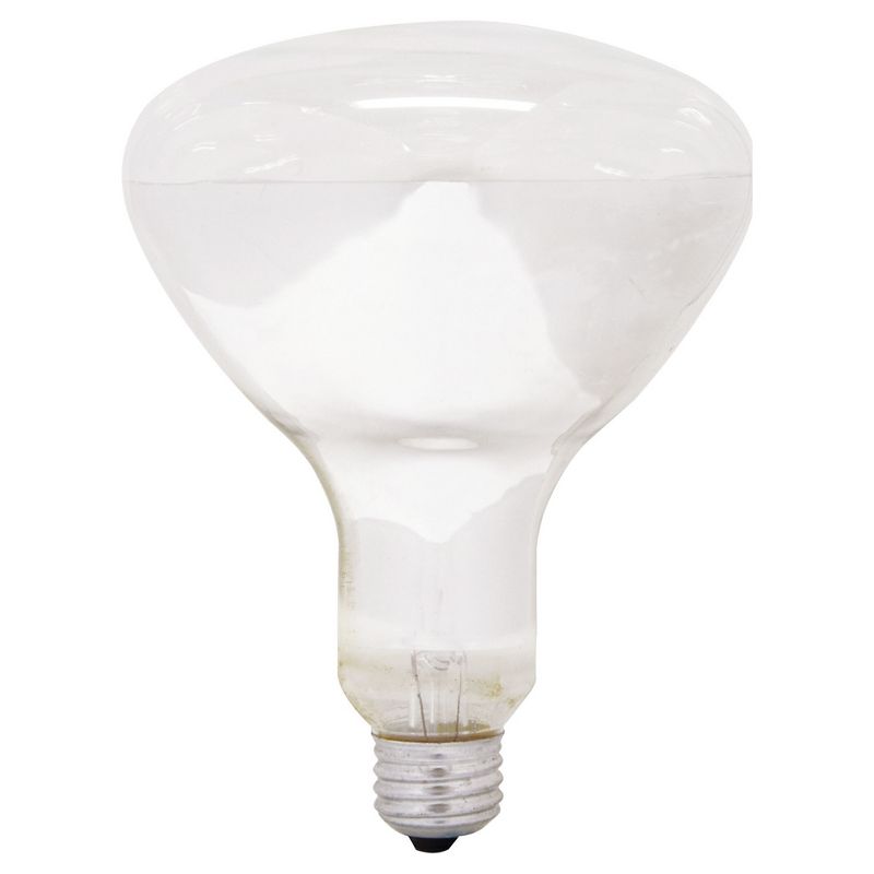 General Electric 65w 2pk R40 Long Life Incandescent Light Bulb White
