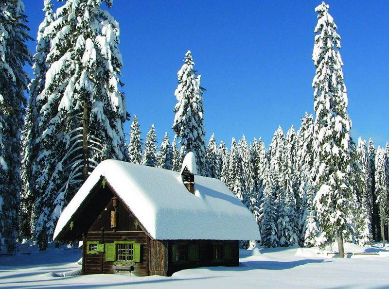 Turning of the Seasons Fall and Winter - 36 Note Cards - 6 Designs - Blank Cards - White Envelopes Included