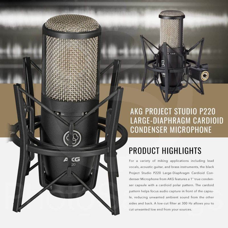 AKG Perception 220 - Large-diaphragm Cardioid Condenser Microphone with Heavy-duty Construction, 20dB Pad, Bass Roll-off, Shockmount, and Metal Case