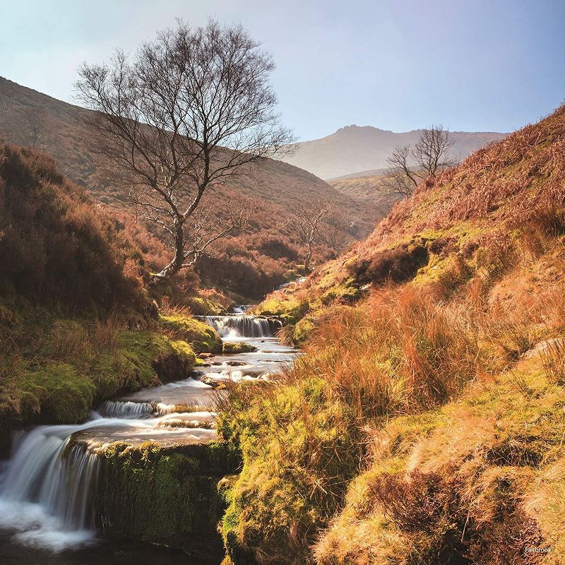 2021 The Everygirl Wall Calendar 15" x 12" Liam - Blue Sky