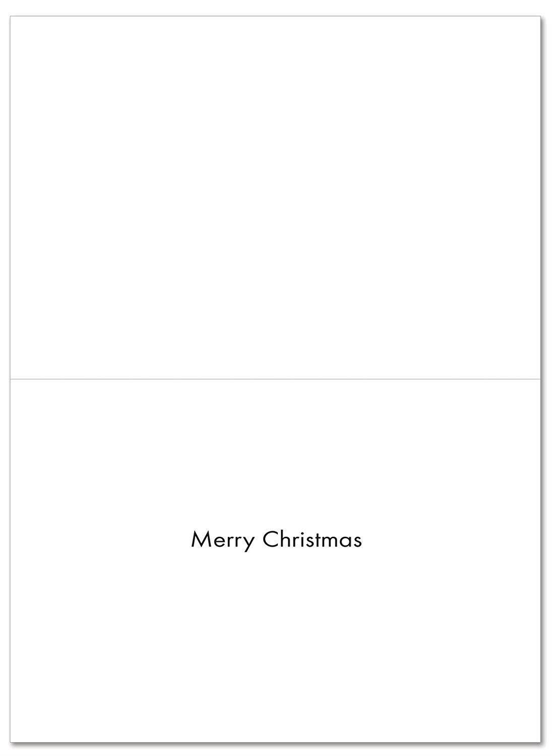 B6485BXSG Box Set of 12 Smitten Kittens Christmas Note Card Featuring an Adorable Cat with a Santa's Hat Wearing a Big Smile; with Envelopes