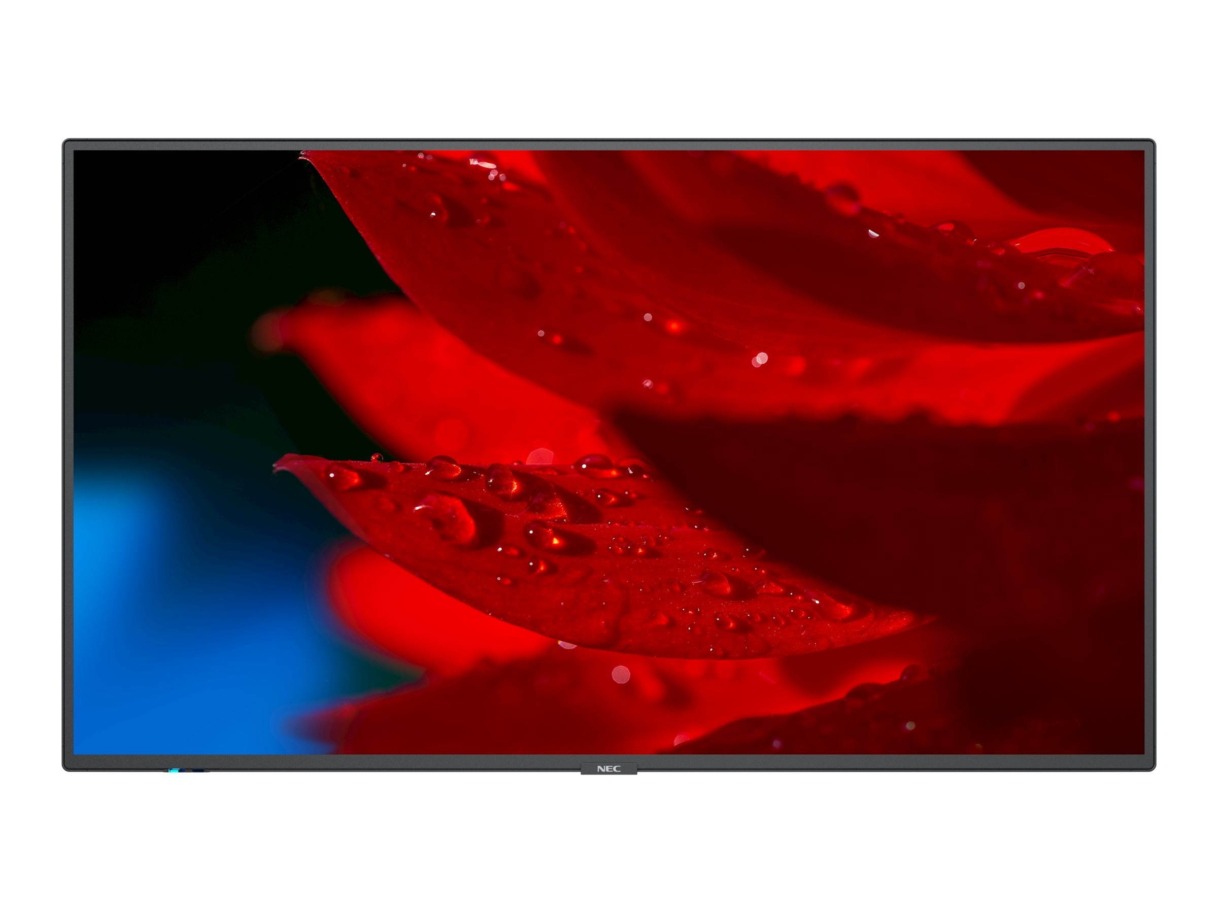 NEC Display Solutions MA431 43" LED LCD, UHD, 500nits, WCG, HDMI x2/Out, DP x2/Out, Accepts SDM-S or L, Full External Control Built-in Speaker