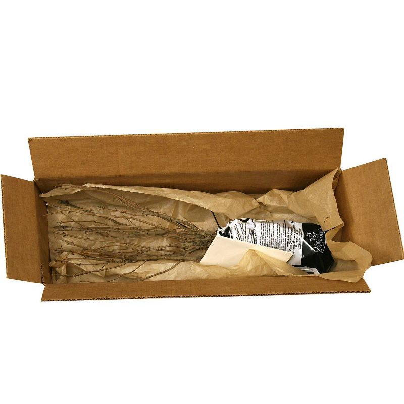 Van Zyverden Lilac Root Stock Purple