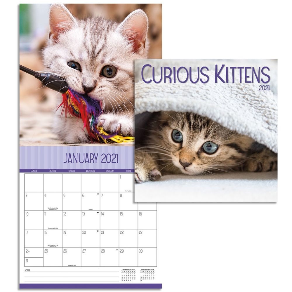 Turner Licensing,  Curious Kittens Mini Wall Calendar 2021