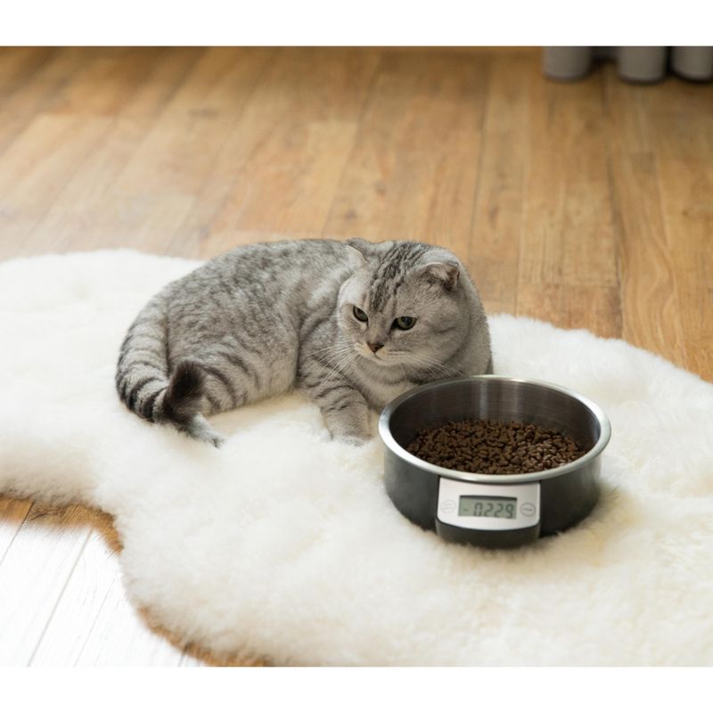 PawsMark Digital Scale Dog Feeding Bowl, Removable Washable Stainless Steel Bowl