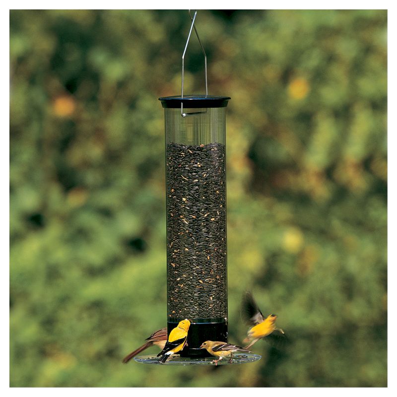 Droll Yankees Yankee Tipper Collapsing Tray Squirrel Proof Bird Feeder - Black - 21"