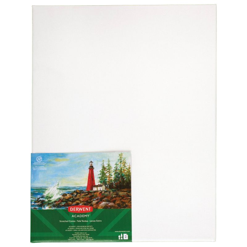 2ct Stretch Art Canvas 11" x 14" - Derwent