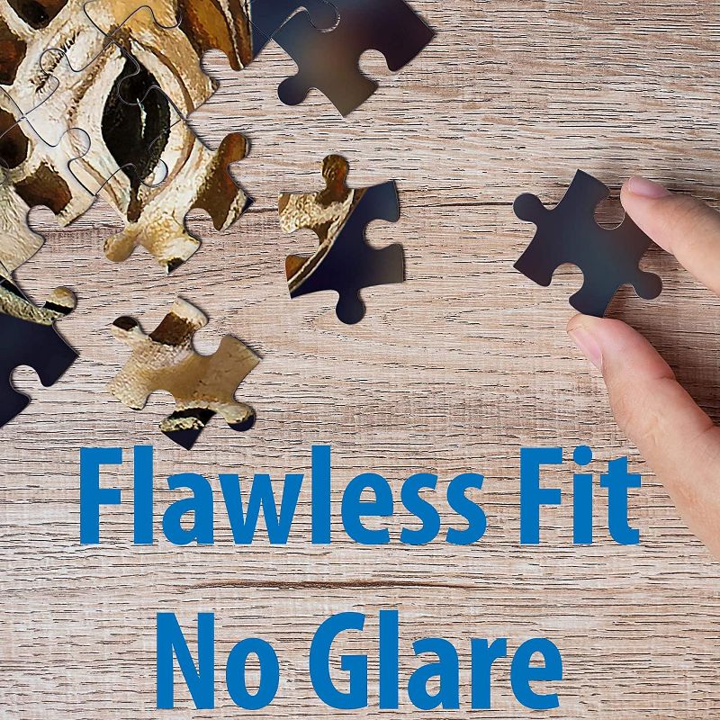 Funwares Johannes Stotter Sea Turtle Body Art 1000 Piece Jigsaw Puzzle