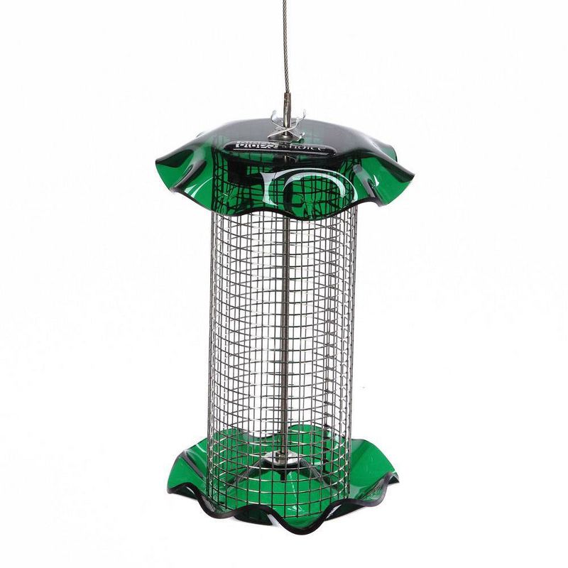 Birds Choice 1qt Sunflower Forever Bird Feeder - Green