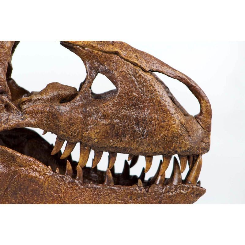 Master Replicas T-Rex Skull Quarter Scale Smithsonian Fossil Replica - 11 Inches