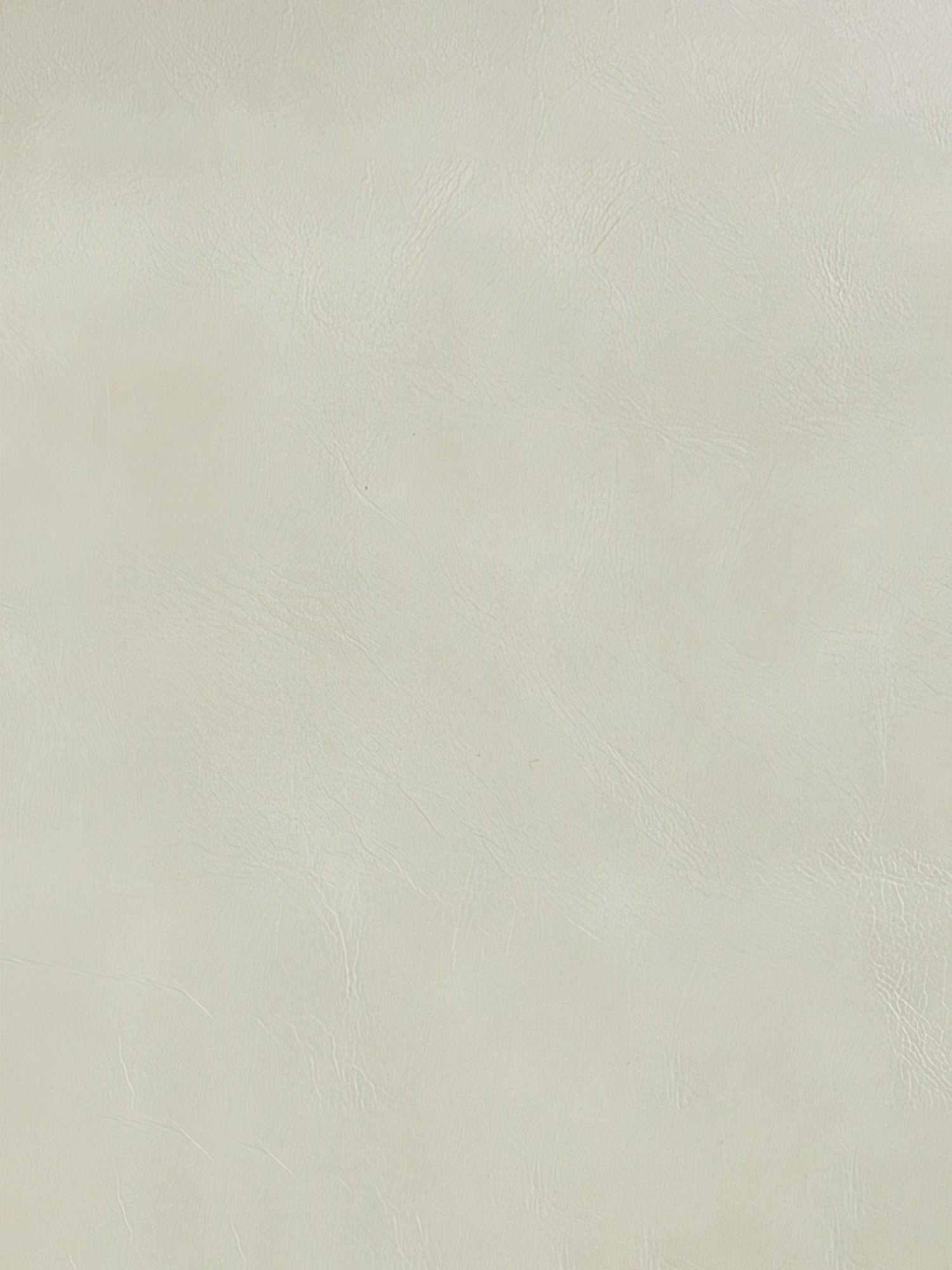 Godrej Interio Creamtreat White Metal Dining Chair (Set of 2)