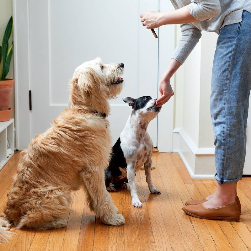 Rocco & Roxie Supply Co. Chicken Jerky Sticks Dog Treats - 16oz