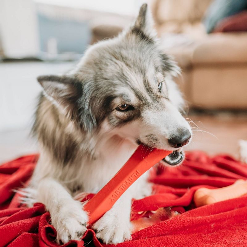 Playology Beef Scent Chew Stick Dog Toy - Red - L